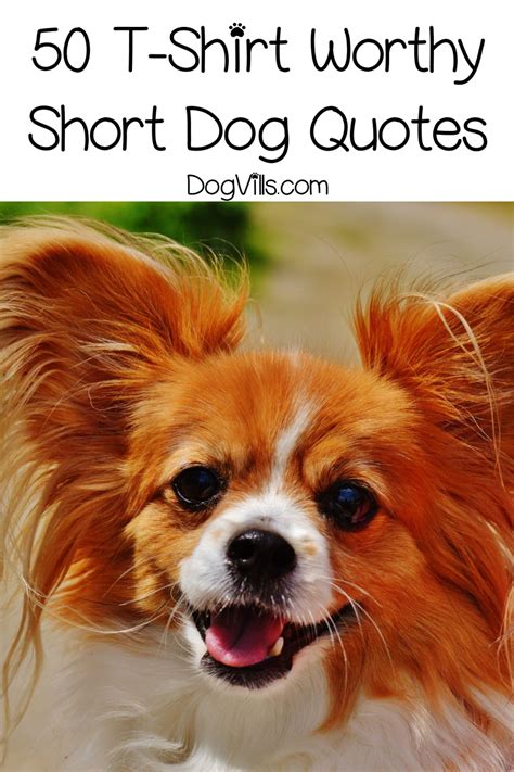 cute short dog sayings.